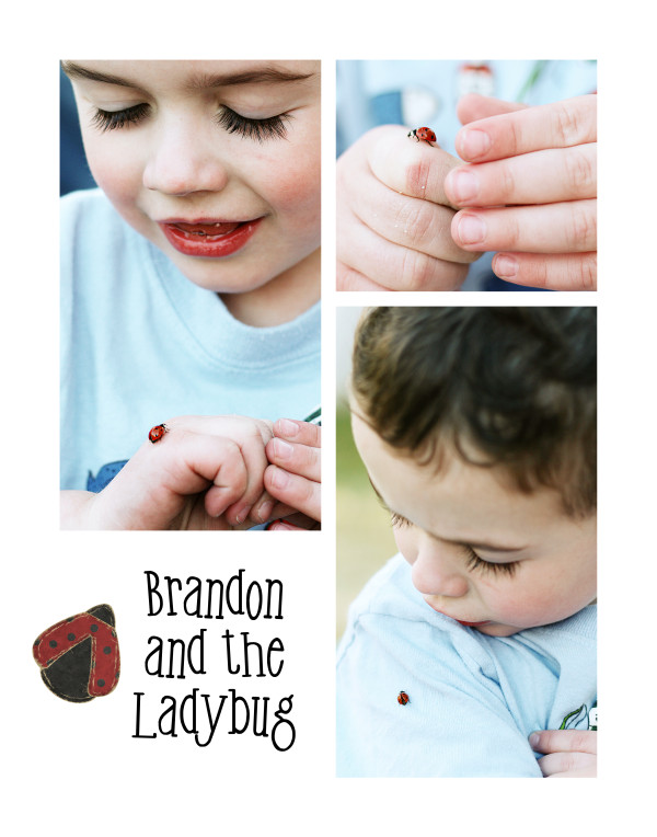 Brandon and ladybug