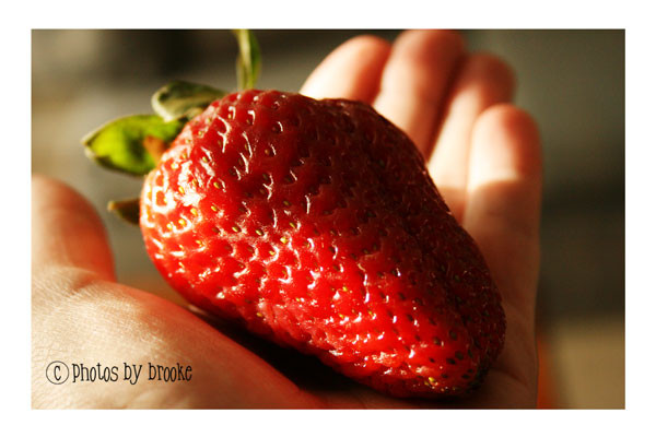massive-strawberry